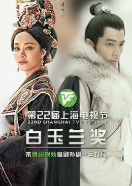 外贸seo优化品牌